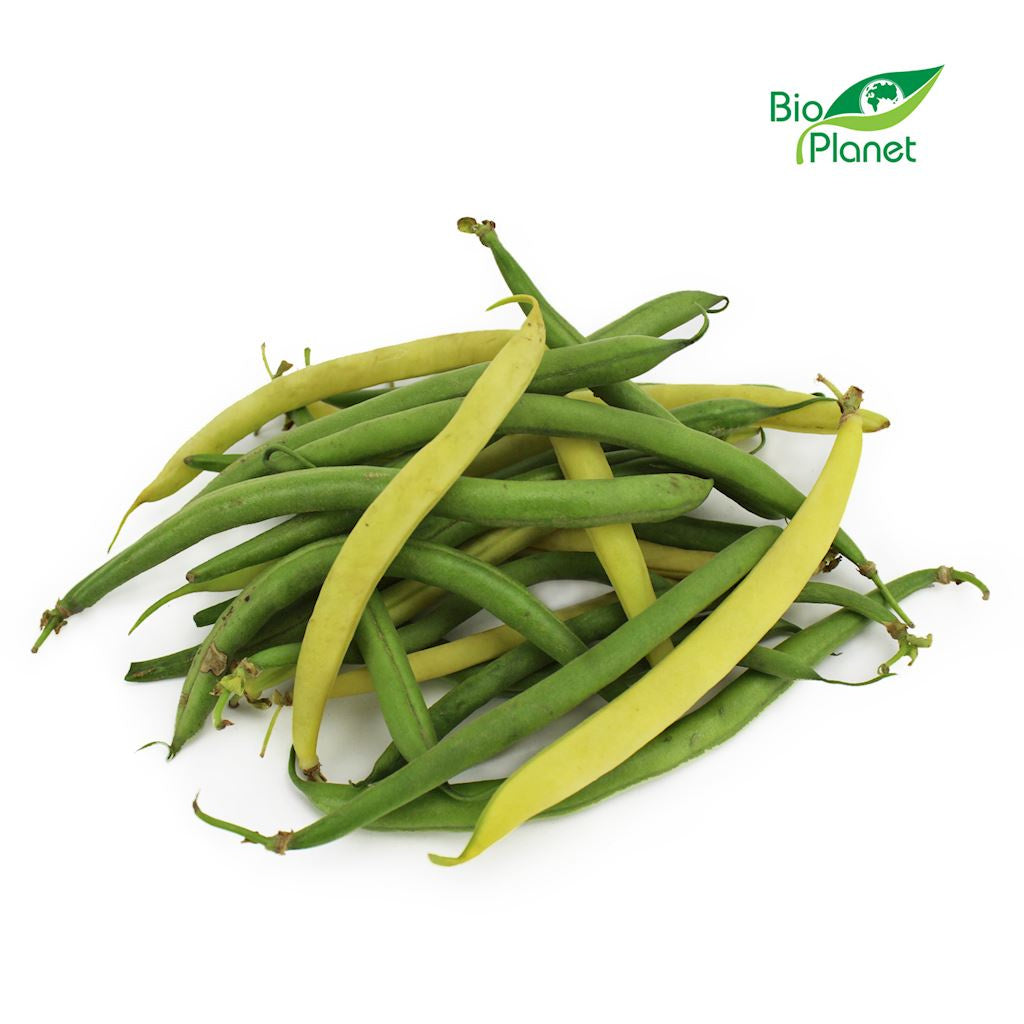 Fasolka Szparagowa BIO (Polska) (Około 0,50 kg)