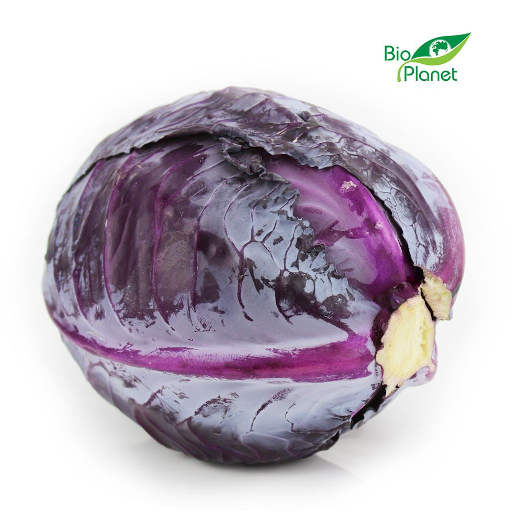 Kapusta Czerwona Świeża BIO (Polska) (Około 1,50 kg) (2 szt x 1 kg)