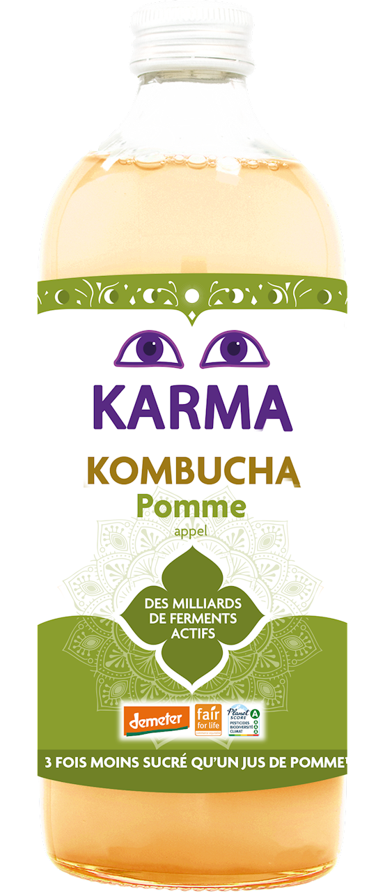 Kombucha z Jabłkiem Fair For Life Demeter BIO 1 l