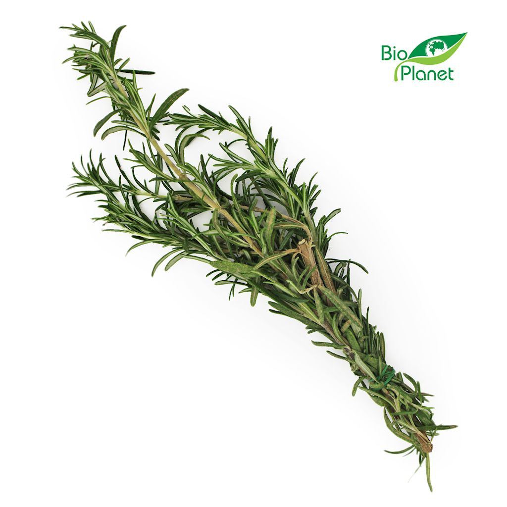 Rozmaryn Świeży BIO (Około 50 g)