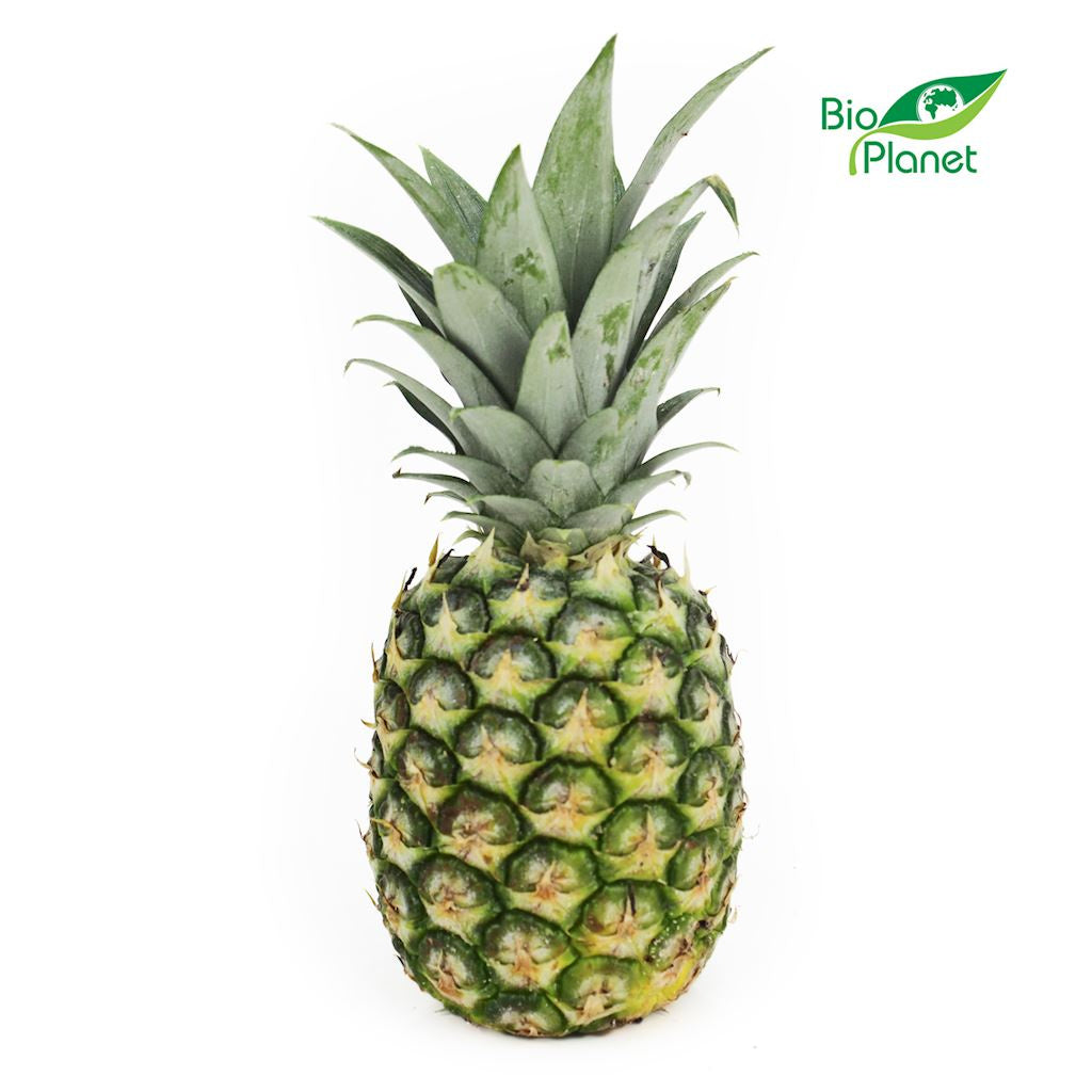 Ananas Świeży BIO (Około 10 Sztuk) (10 szt x 1,1 kg)