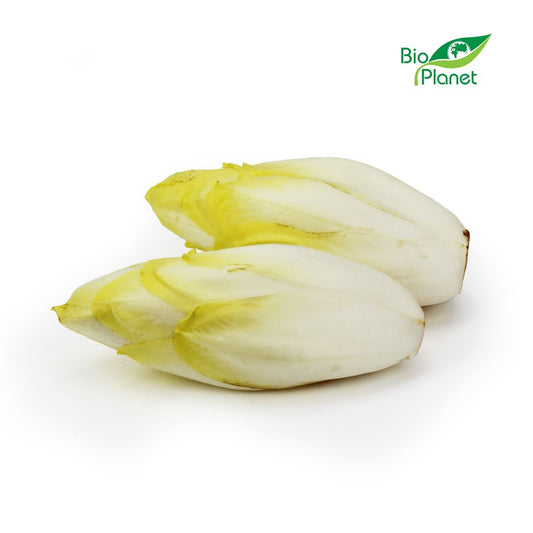 Cykoria Świeża BIO (Około 2,50 kg) (2,5 szt x 1 kg)