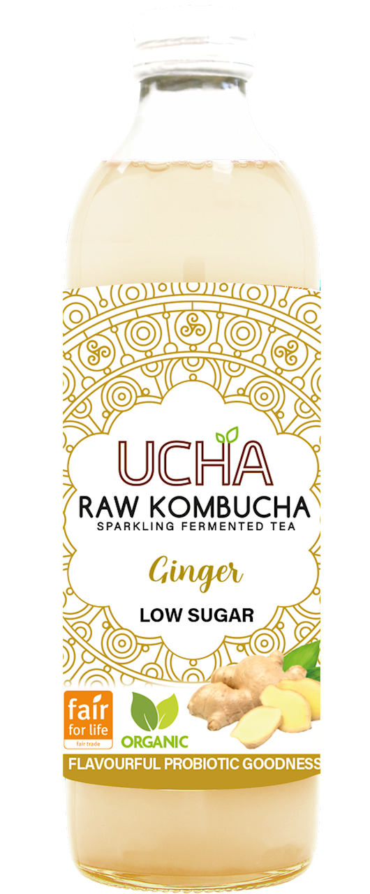 Kombucha z Imbirem Niska Zawartość Cukrów Fair For Life BIO 350 ml