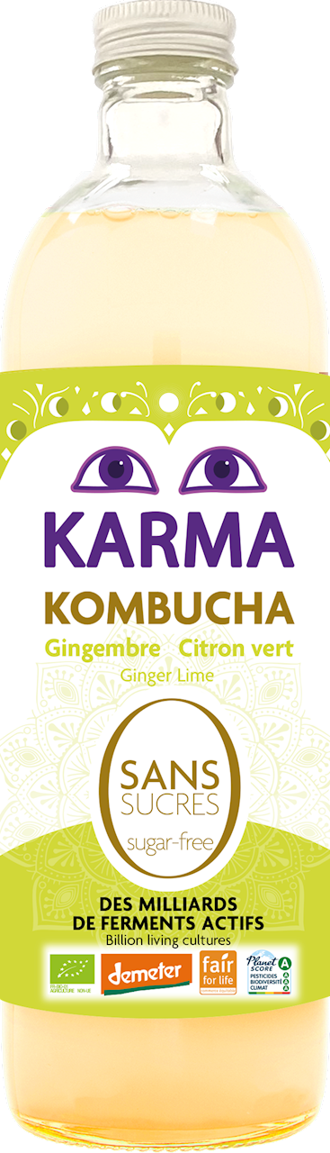 Kombucha z Imbirem i Limonką Bez Cukru Fair For Life Demeter BIO 750 ml