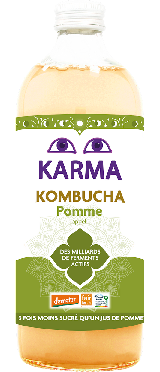 Kombucha z Jabłkiem Fair For Life Demeter BIO 1 l