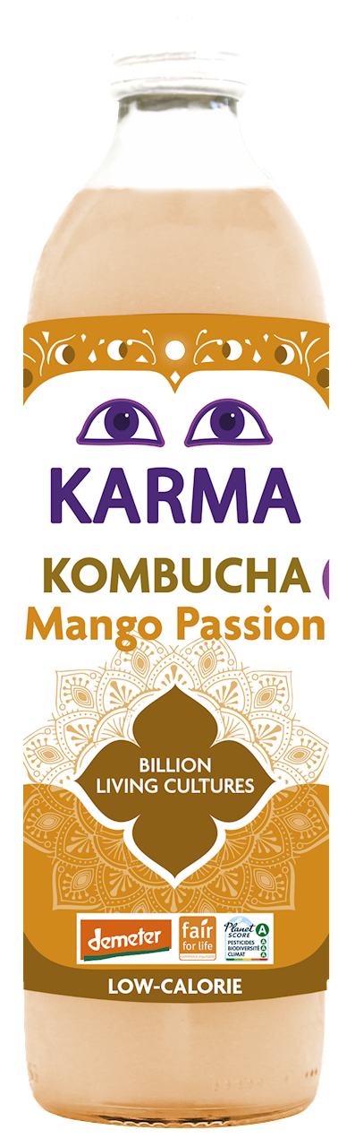 Kombucha z Mango i Marakują Fair For Life Demeter BIO (2 szt x 500 ml)