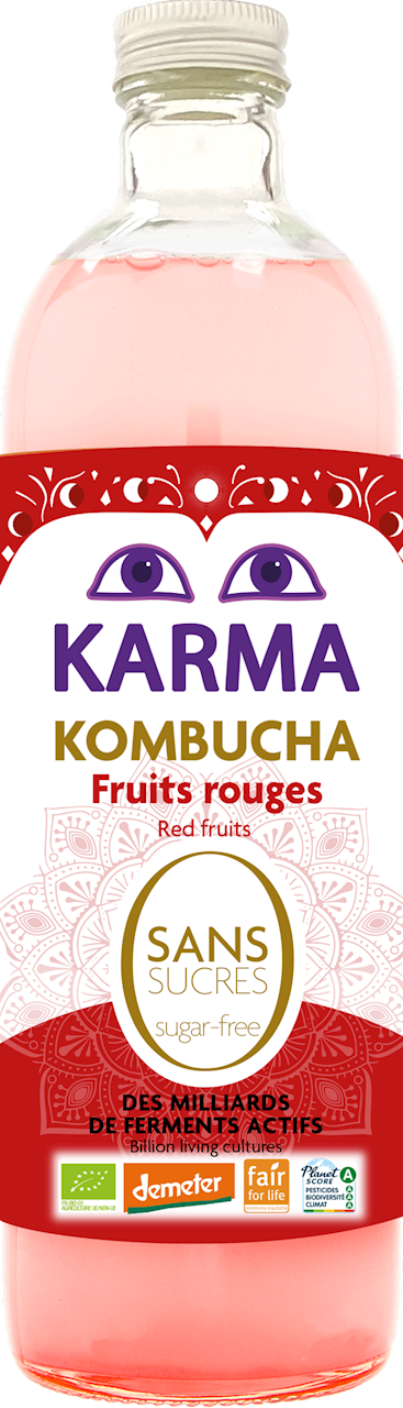Kombucha z Owocami Czerwonymi Bez Cukru Fair For Life Demeter BIO 750 ml