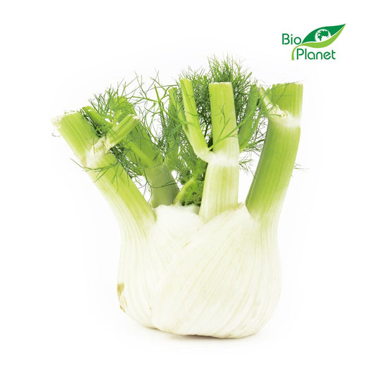 Koper Włoski Świeży (Fenkuł) BIO (Około 5 kg ) (5 szt x 1 kg)