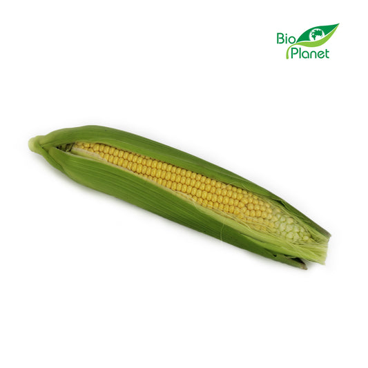 Kukurydza Świeża BIO (Polska) (Około 0,25 kg)