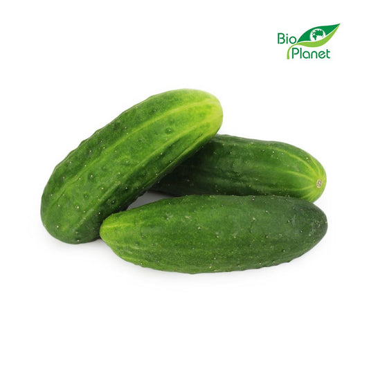 Ogórek Gruntowy Świeży BIO (Polska) (Około 1,00 kg)