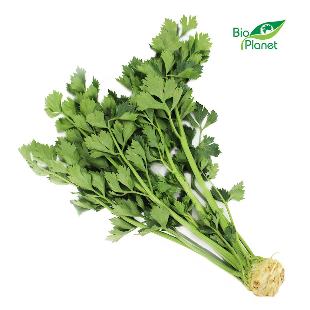 Seler z Nacią Świeży BIO (Polska) (Około 0,20 kg)